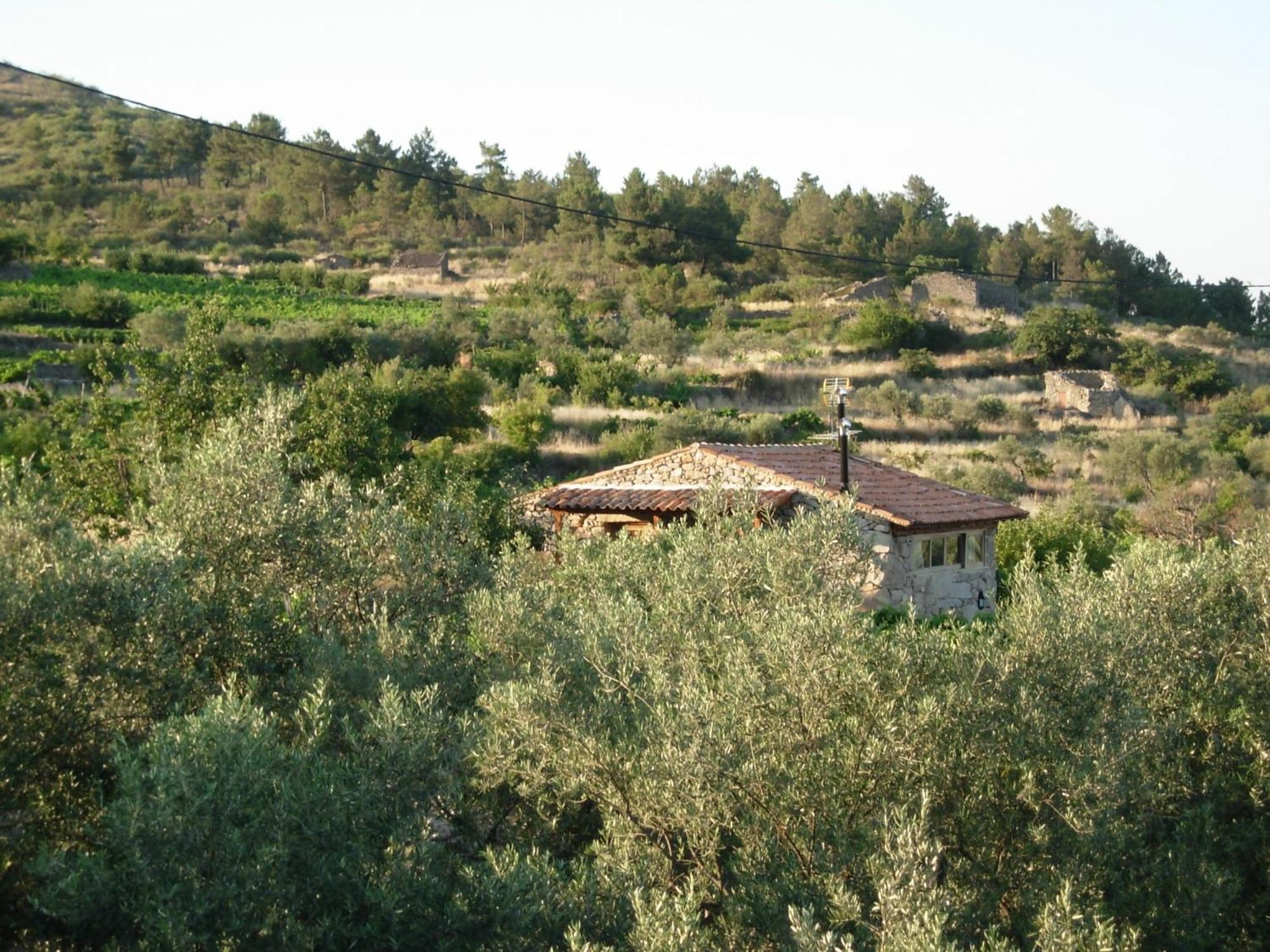 Hotel Outros Tempos Turismo De Aldeia Aricera Zewnętrze zdjęcie